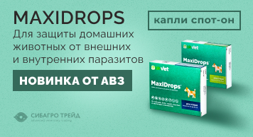 Новинка от АВЗ! MaxiDrops — капли спот-он, для защиты домашних животных от внешних и внутренних паразитов