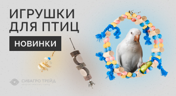 Новинки игрушек для птиц