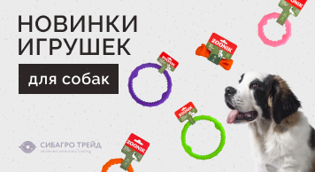 Новинки игрушек для собак