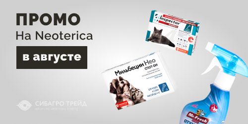 Промо на Neoterica в августе