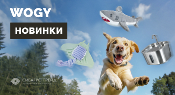Новинки WOGY   