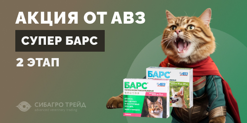 Акция от АВЗ! Супер Барс - 2-й этап