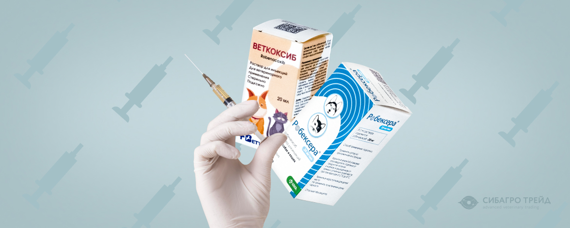 Робенакоксибы в инъекциях: Робексера и Веткоксиб Робенакоксибы в инъекциях: Робексера и Веткоксиб