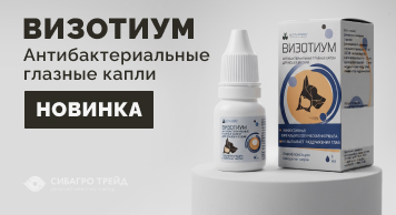 Новинка! Капли глазные Визотиум на основе левофлоксацина и гиалуроновой кислоты
