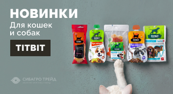 Новинки TitBit    