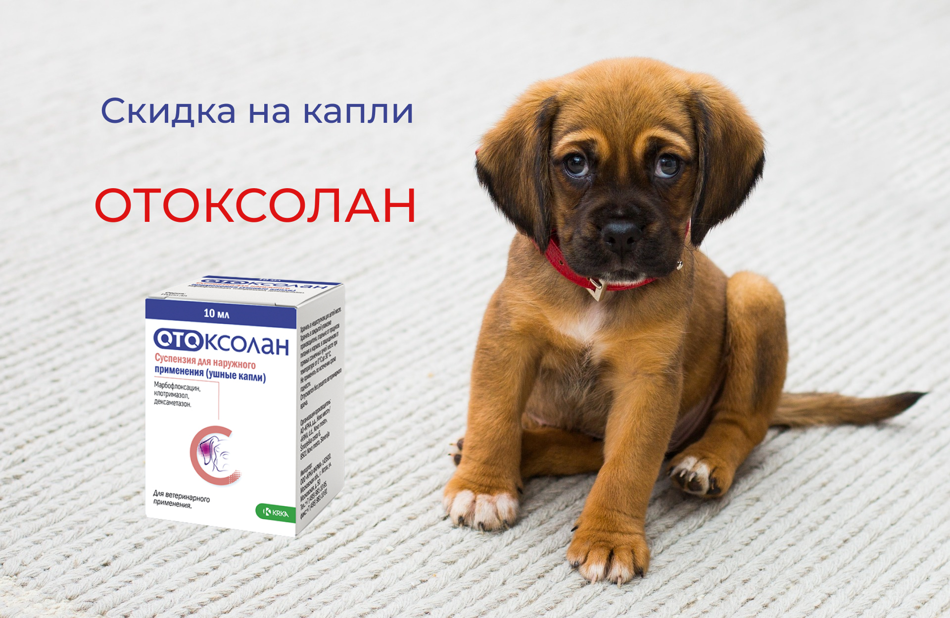 Отоферонол Голд Ушные Капли Для Кошек Купить