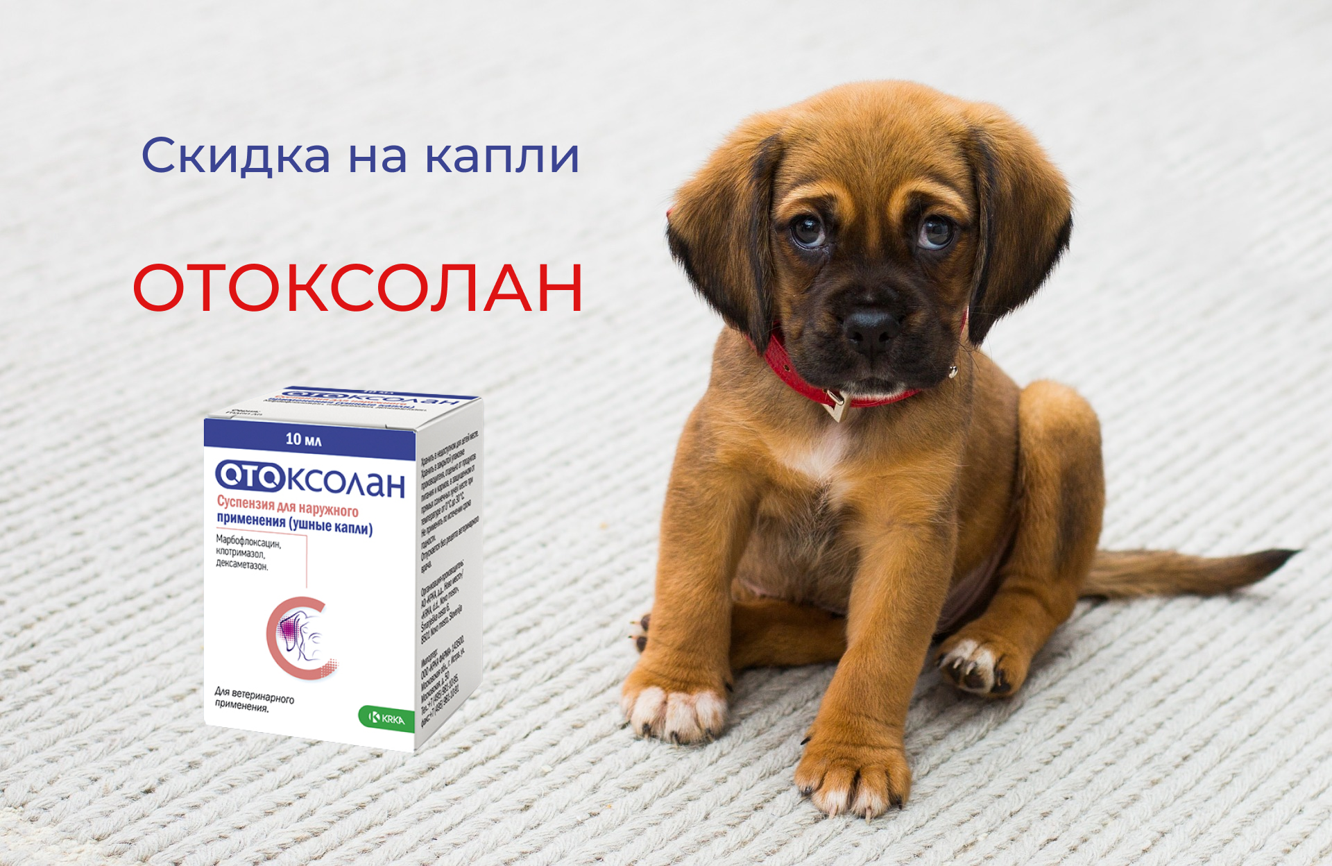 Отоксолан для кошек