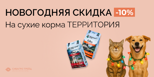 Новогодняя скидка 10% на сухие корма Территория
