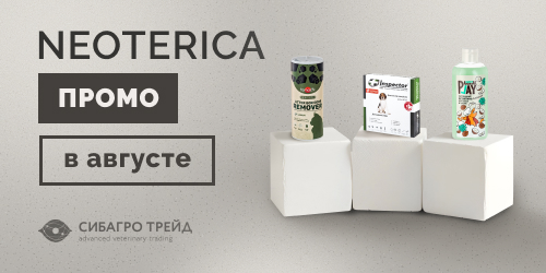 Промо по NEOTERICA в августе
