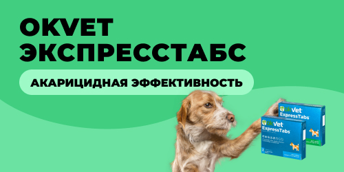 Акарицидная эффективность OKVET ЭкспрессТабс