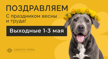 Поздравляем с праздником весны и труда!