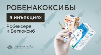 Робенакоксибы в инъекциях: Робексера и Веткоксиб