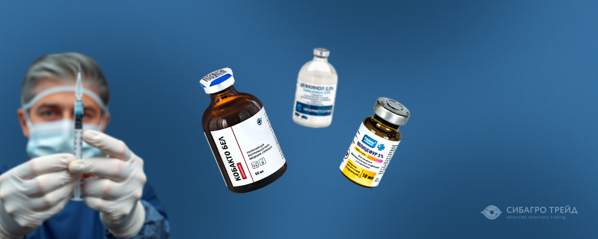 Применение цефалоспоринов в практике ветеринарных врачей Применение цефалоспоринов в практике ветеринарных врачей