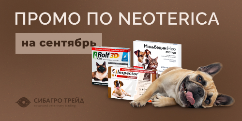 Промо по NEOTERICA на сентябрь