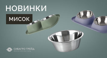 Новинки мисок