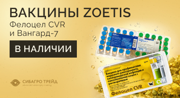 В наличии! Вакцины ZOETIS: Фелоцел CVR и Вангард-7