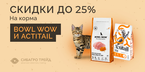 Скидки до 25% на корма BOWL WOW и ACTITAIL