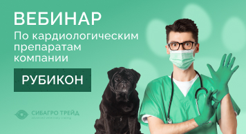 Вебинар по кардиологическим препаратам компании РУБИКОН