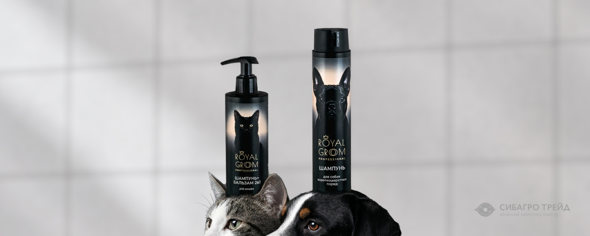 Новинка! Шампуни Royal Groom Новинка! Шампуни Royal Groom