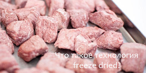 Что такое технология freeze dried?