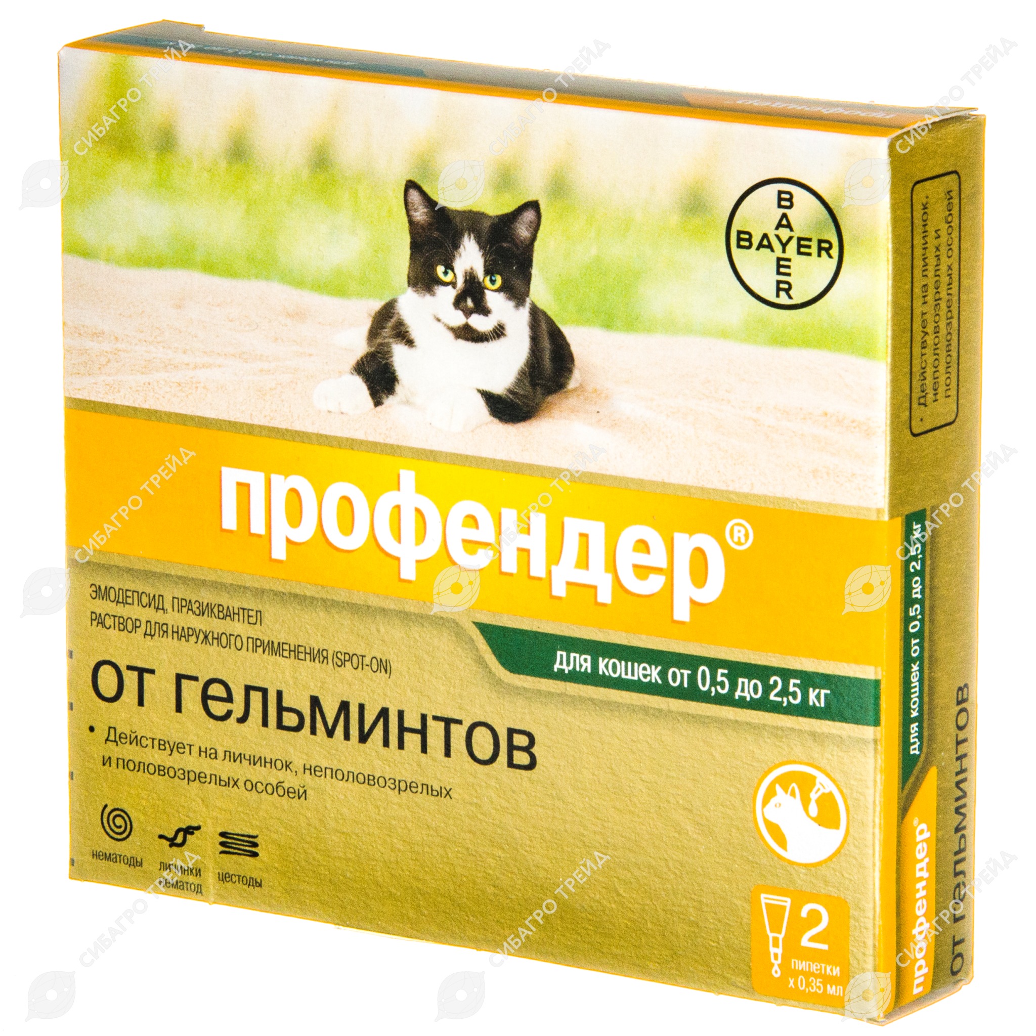 Нематоды У Кошек Фото Нематоды У Кошек Фото