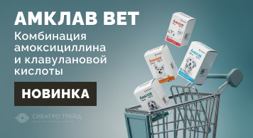 Новинка! Амклав Вет - комбинация амоксициллина и клавулановой кислоты