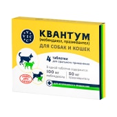 Квантум, 4 табл