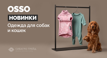 Новинки OSSO