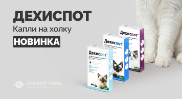Новинка! Дехиспот