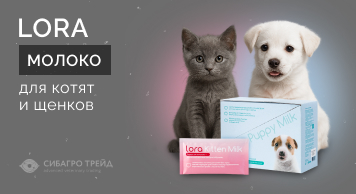 Молоко LORA для котят и щенков