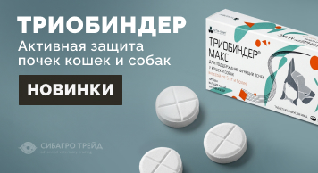 Новинка! Триобиндер активная защита почек кошек и собак
