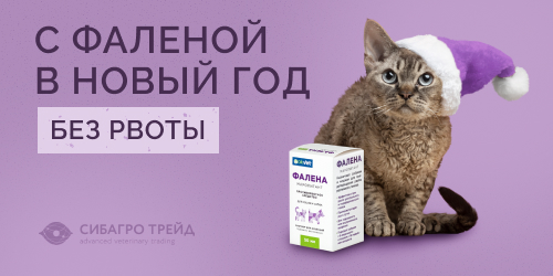 Акция! С Фаленой в Новый год без рвоты!