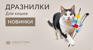 Новинки дразнилок для кошек