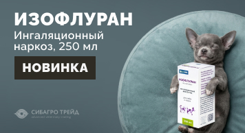 Новинка! Изофлуран 250 мл (АВЗ) - ингаляционный наркоз