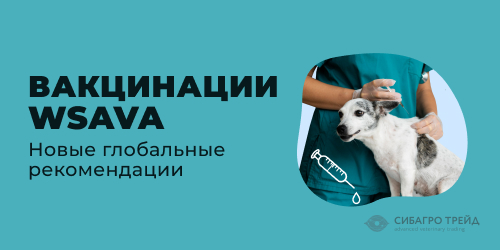 Новые глобальные рекомендации по вакцинации WSAVA 