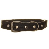 Ошейник брезентовый 25(1), ZOOМИР
