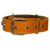 Ошейник кожаный 35(2) украшенный цветной, ZOOМИР