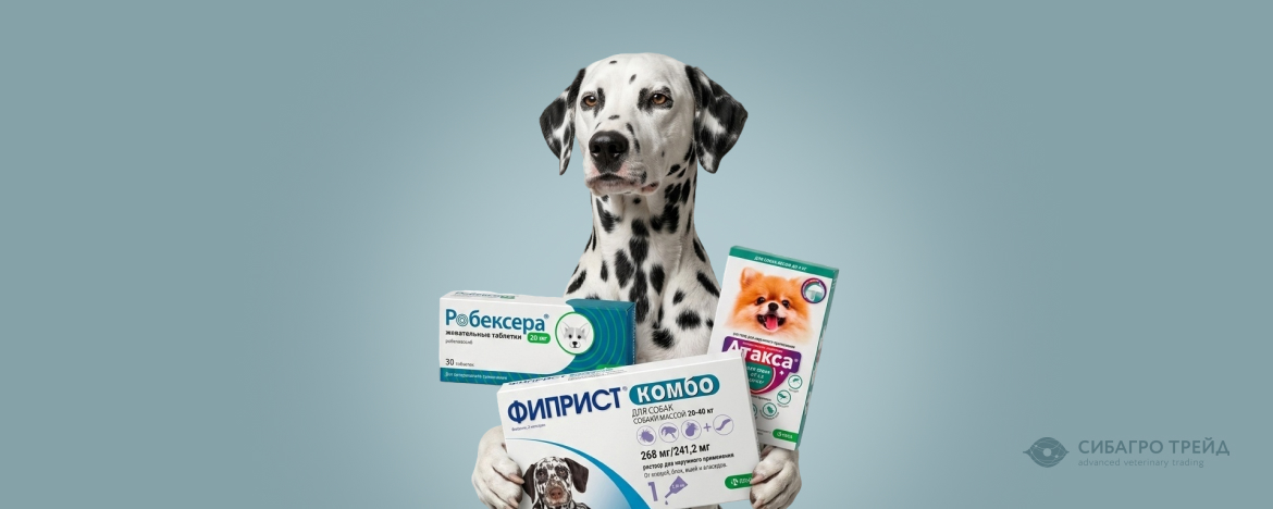 Скидки на продукцию KRKA для МДЖ от 20 до 65% Скидки на продукцию KRKA для МДЖ от 20 до 65%