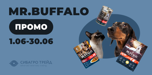 Промо MR. BUFFALO
