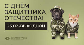 Поздравляем с Днём Защитника Отечества!   