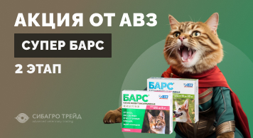 Акция от АВЗ! Супер Барс - 2-й этап