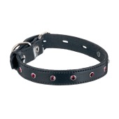 Ошейник кожаный (СТРАЗЫ) 32 - 41 см, 2 см, ЗООНИК