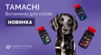 Новинка! Витамины TAMACHI для собак