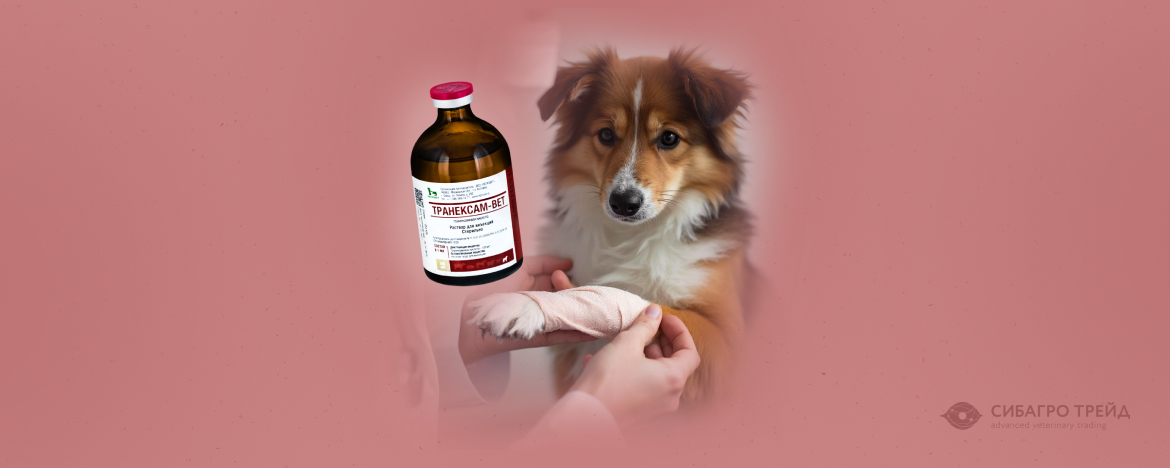 Новинка! Транексам-ВЕТ - гемостатический препарат при любых кровотечениях Новинка! Транексам-ВЕТ - гемостатический препарат при любых кровотечениях