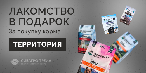 Лакомство в подарок за покупку корма ТерриториЯ