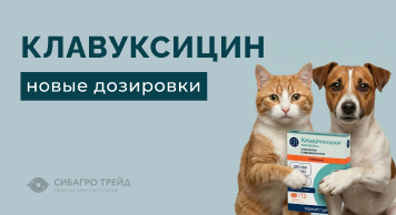 Поступление! Клавуксицин - новые дозировки