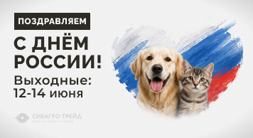 Поздравляем с Днём России!