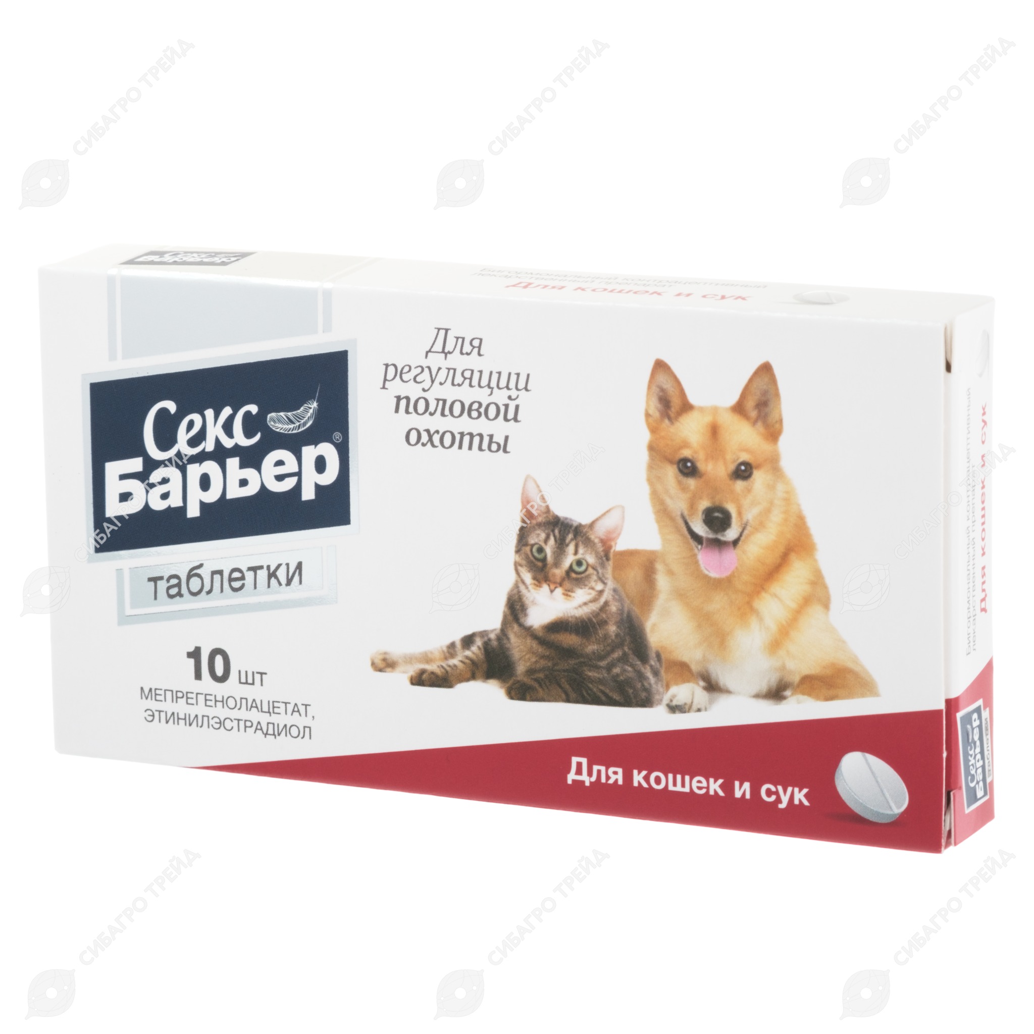 Артынан сексуалды Менің қызым интернеттен порно көрді.