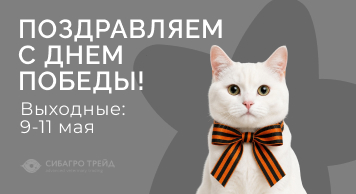 Поздравляем с Днём Победы!   