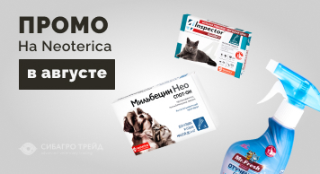 Промо на Neoterica в августе